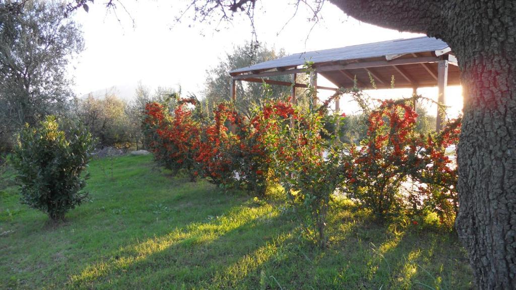 Maria Caderina Green Village Posada  Luaran gambar